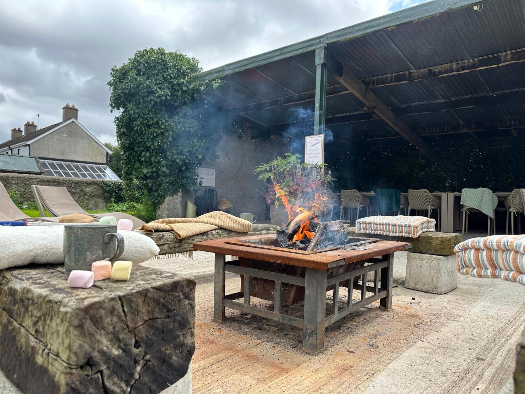Fitz Of Inch Hotel Stradbally  Buitenkant foto