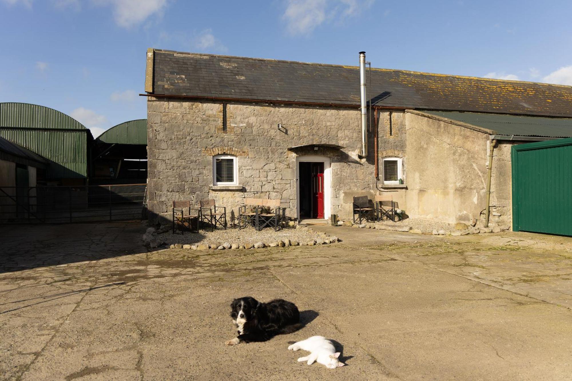 Fitz Of Inch Hotel Stradbally  Buitenkant foto