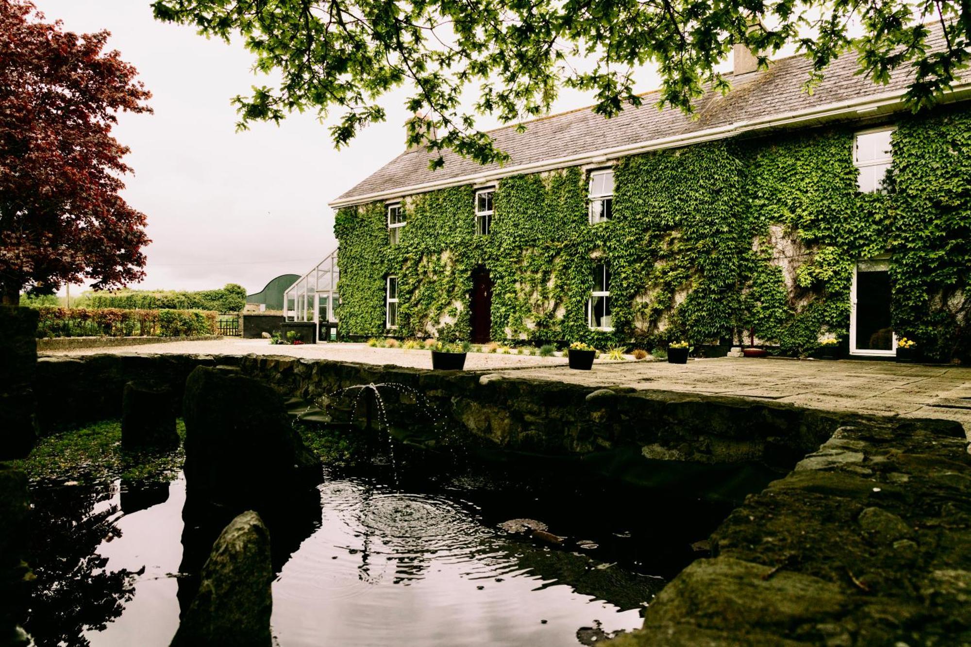 Fitz Of Inch Hotel Stradbally  Buitenkant foto